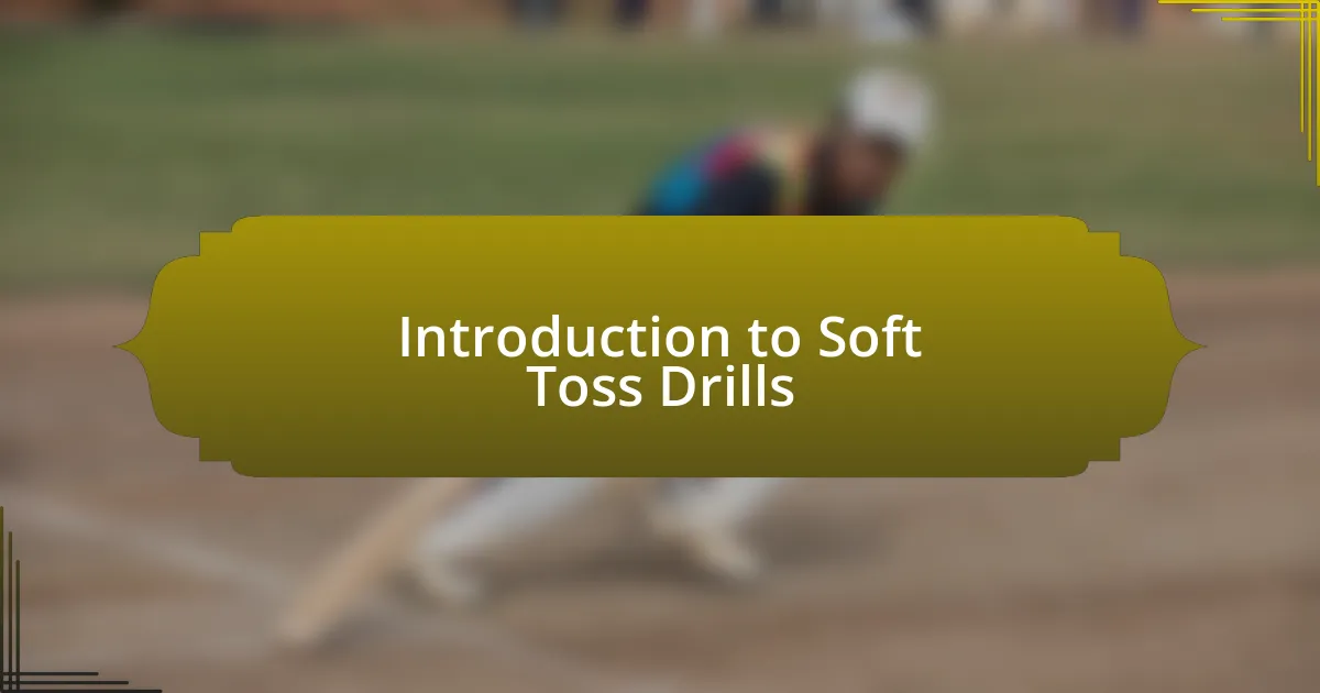 Introduction to Soft Toss Drills